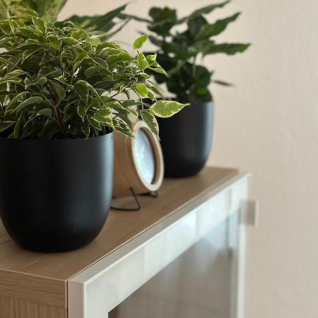 Appartement Elena Линц Экстерьер фото
